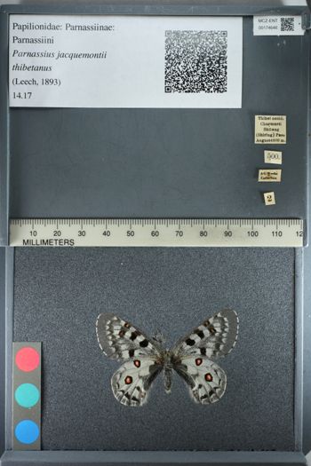 Media type: image;   Entomology 174646